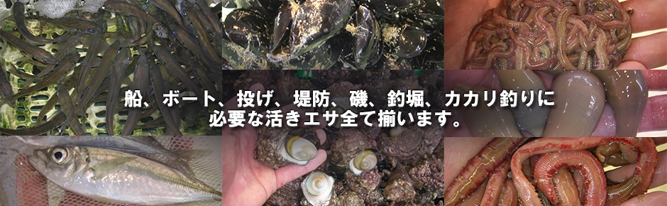 メインビジュアル_2