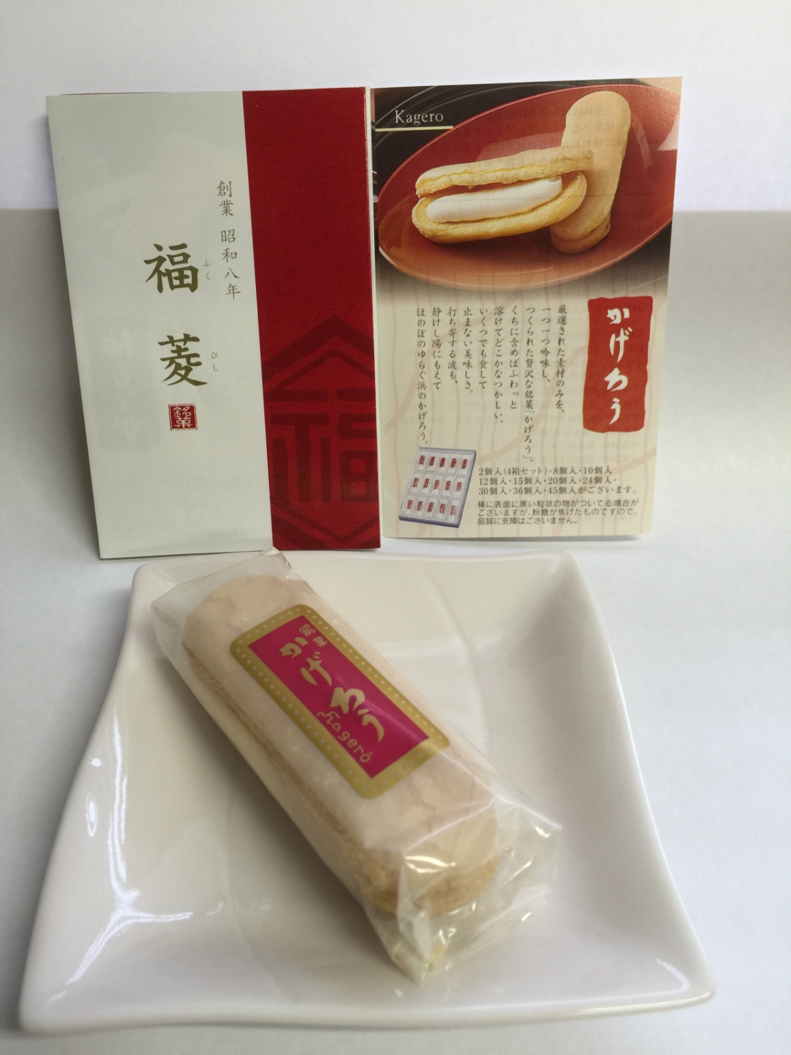 和歌山県かげろう