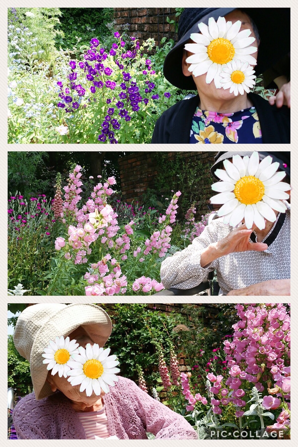 デンパーク 花園