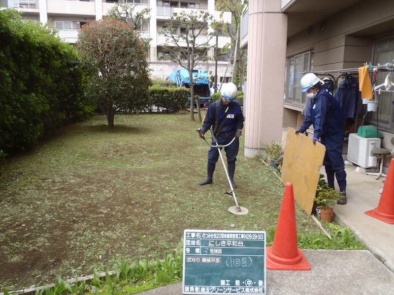芝刈り 機械平面(1回目)