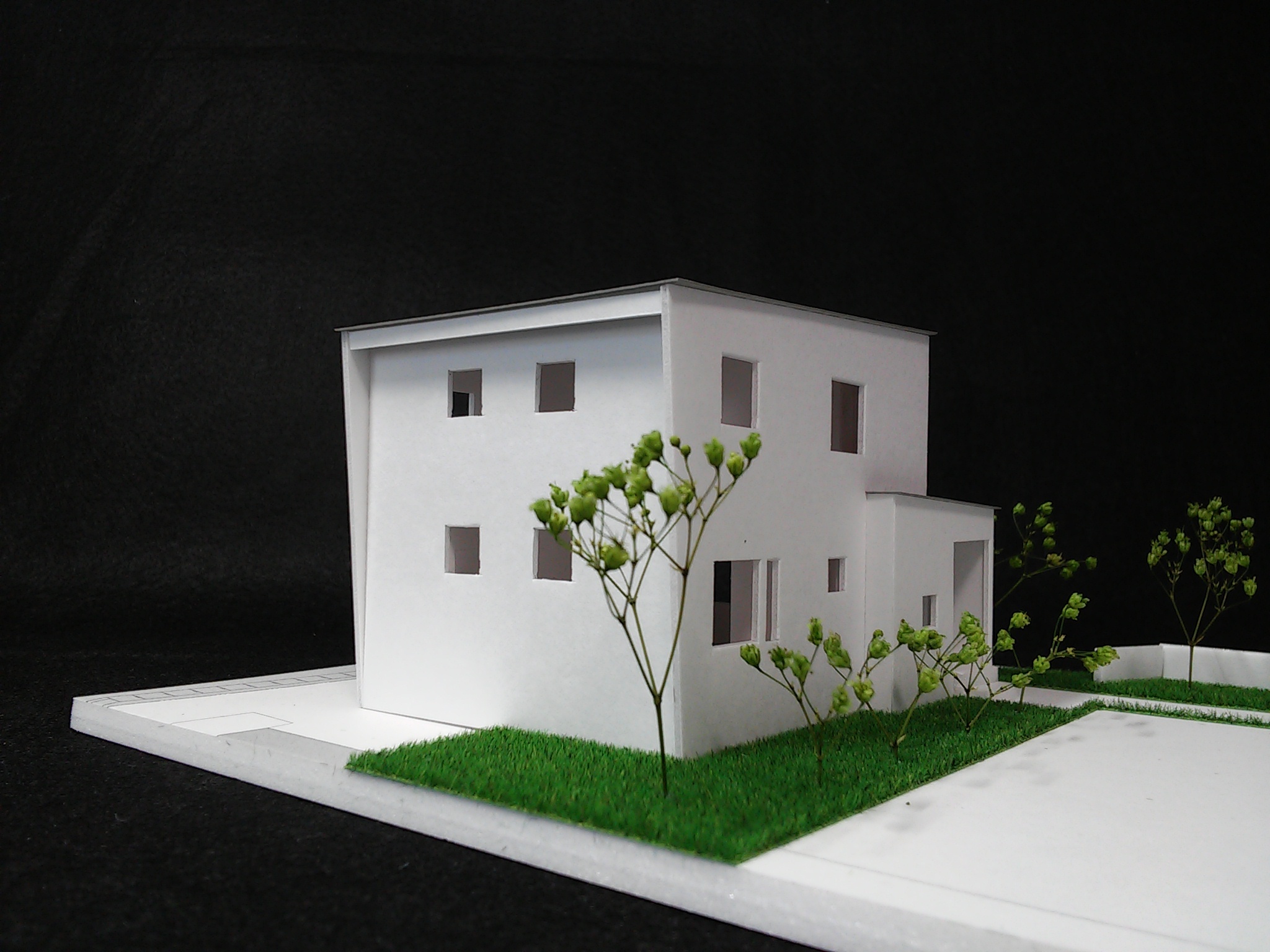IS HOUSE