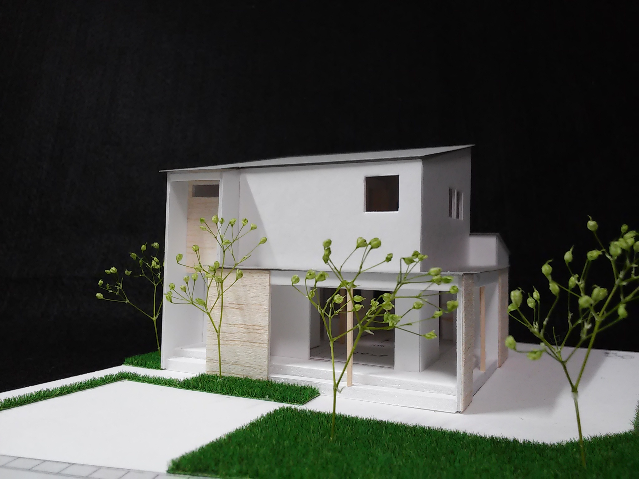 WS HOUSE