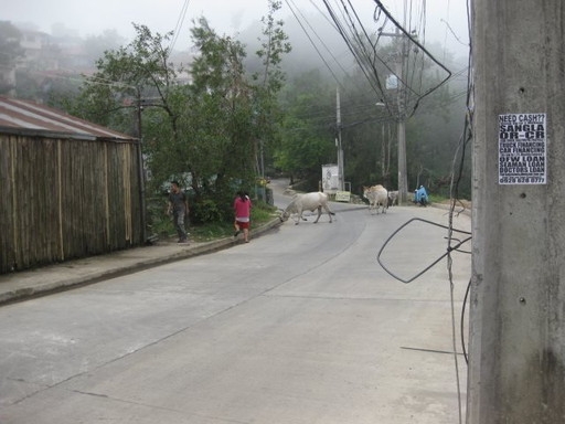 フィリピン留学 バギオ MONOL 周辺 名古屋 岐阜 大垣 留学会社