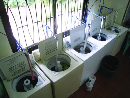 フィリピン留学 バギオ MONOL 寮 洗濯機 名古屋 岐阜 大垣