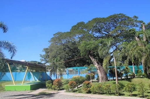 フィリピン クラーク HELP 中庭.jpg