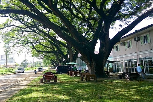 BIGTREE前の通りから(2)