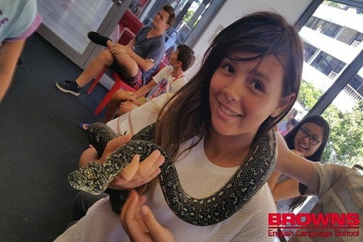 Browns ジュニアキャンプ ゴールドコースト 8