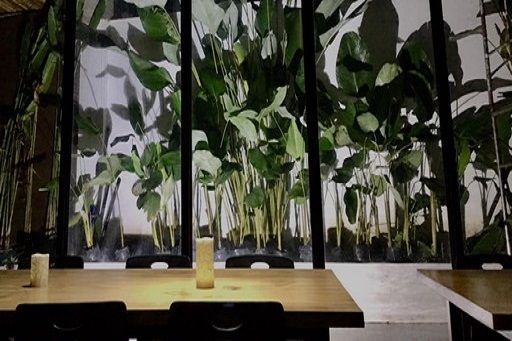 フィリピン セブ島留学 EV Academy カフェテリア 2 名古屋 岐阜 三重 留学エージェント