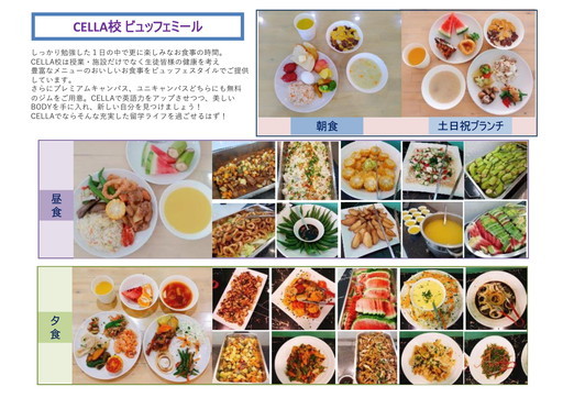 フィリピン留学 セブ島留学 CELLA パンフレット 28 名古屋 岐阜 留学エージェント