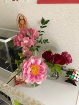 IMG_0183_コピー