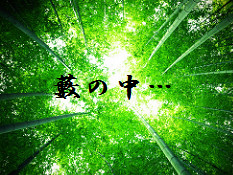 藪の中