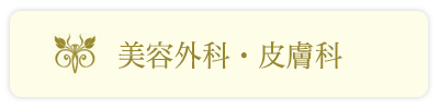 美容外科皮膚科_岩﨑整形形成外科クリニック