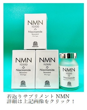 NMN写真