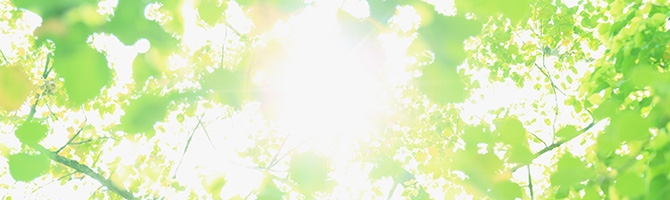 弊社の取り組み