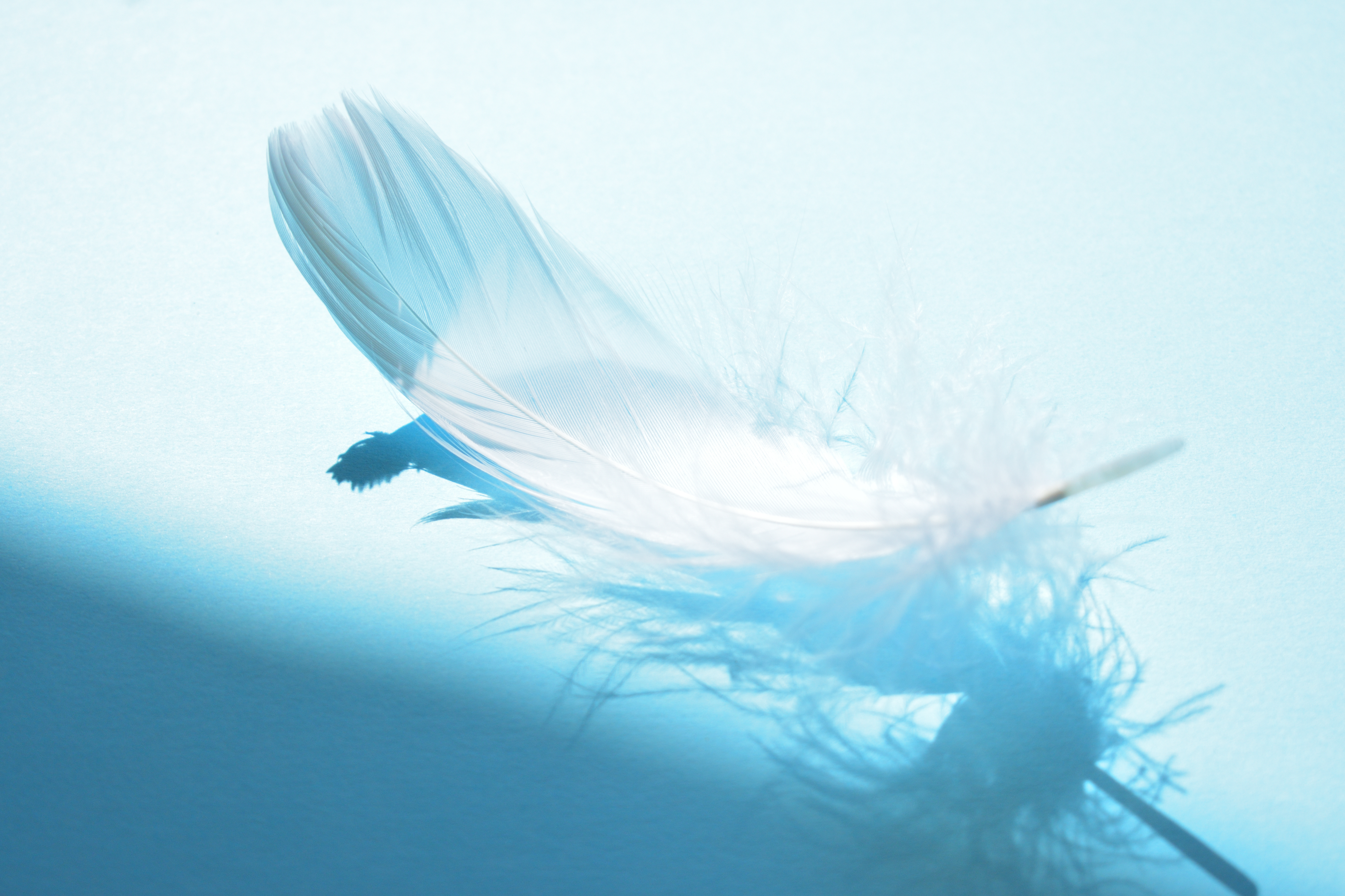 トップバナー背景素材