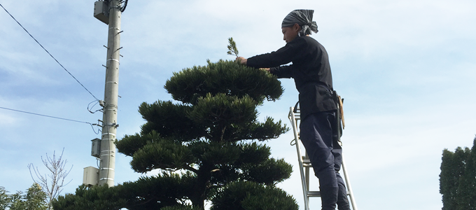 植栽剪定・お庭のお手入れ