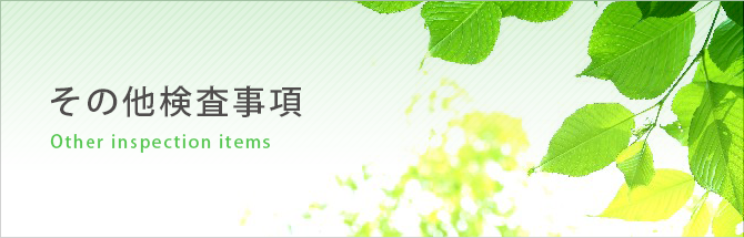 その他検査事項