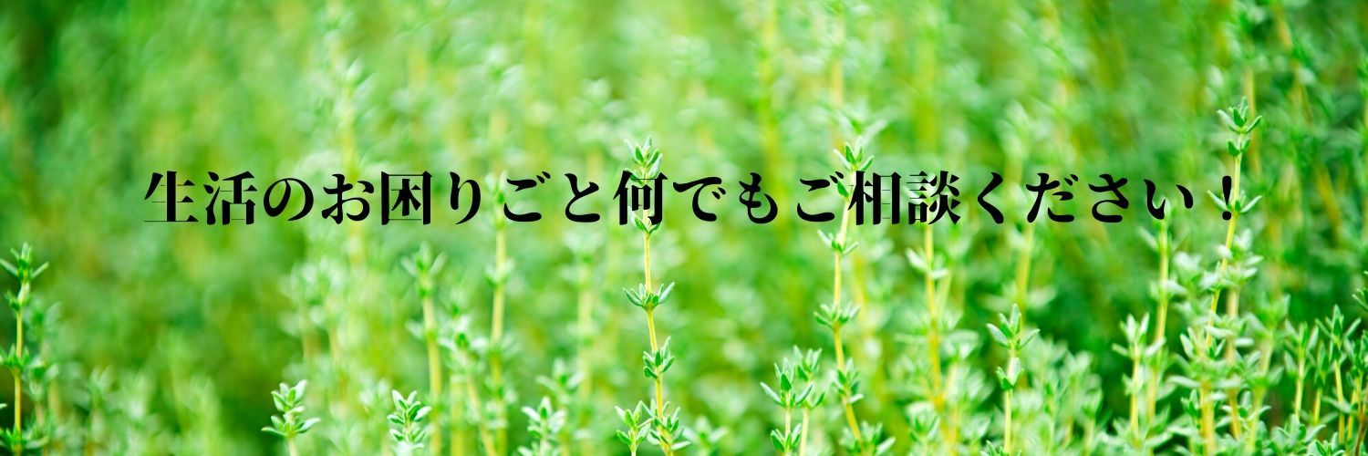 Plantsのコピー