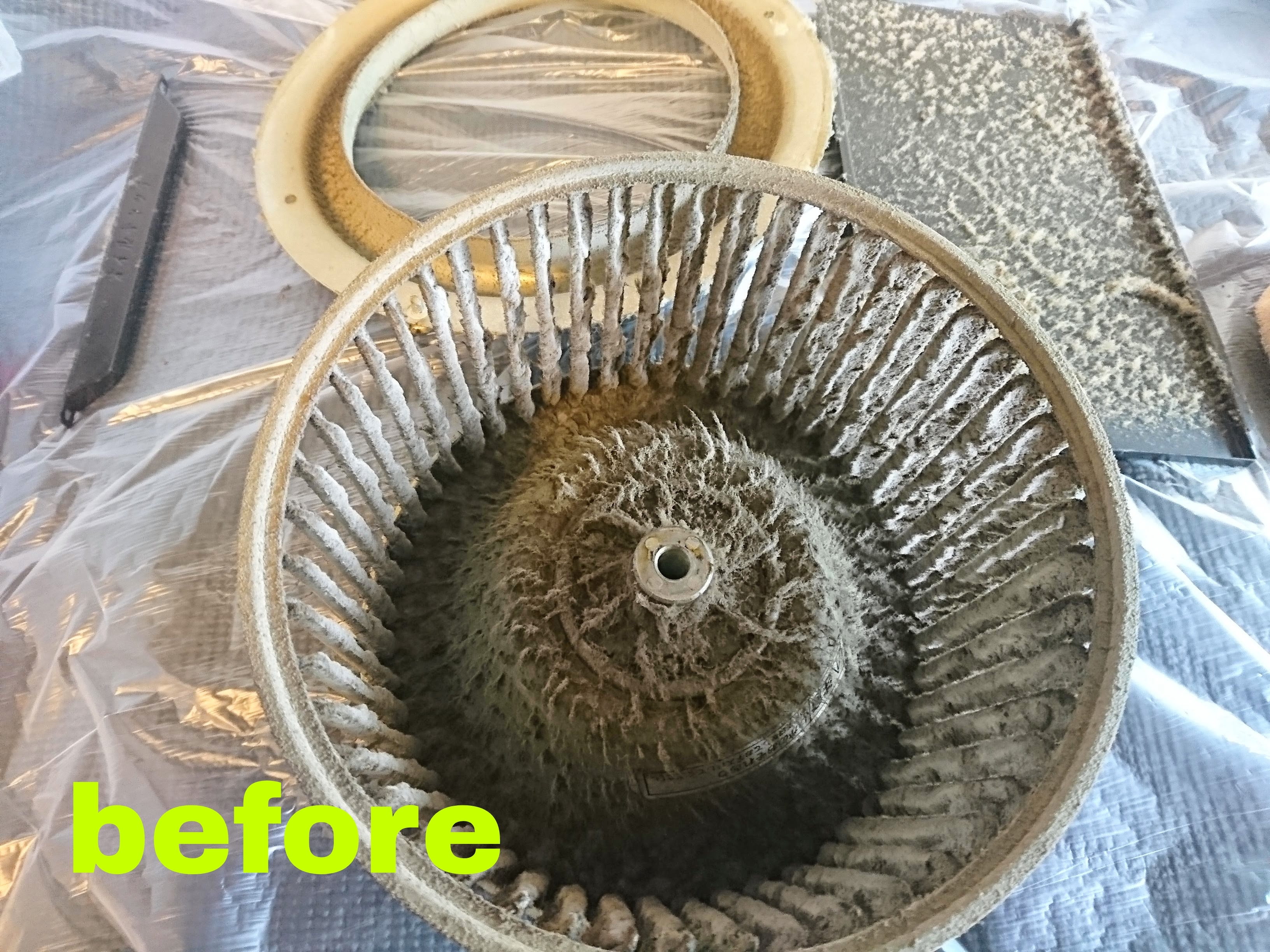 PicsArt_10-22-09.07.47