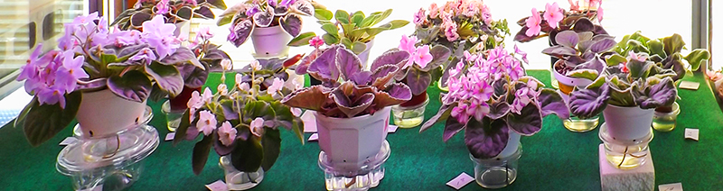 フラワー事業部について