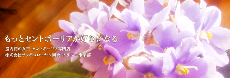 株式会社サッポロローヤル商会フラワー事業部