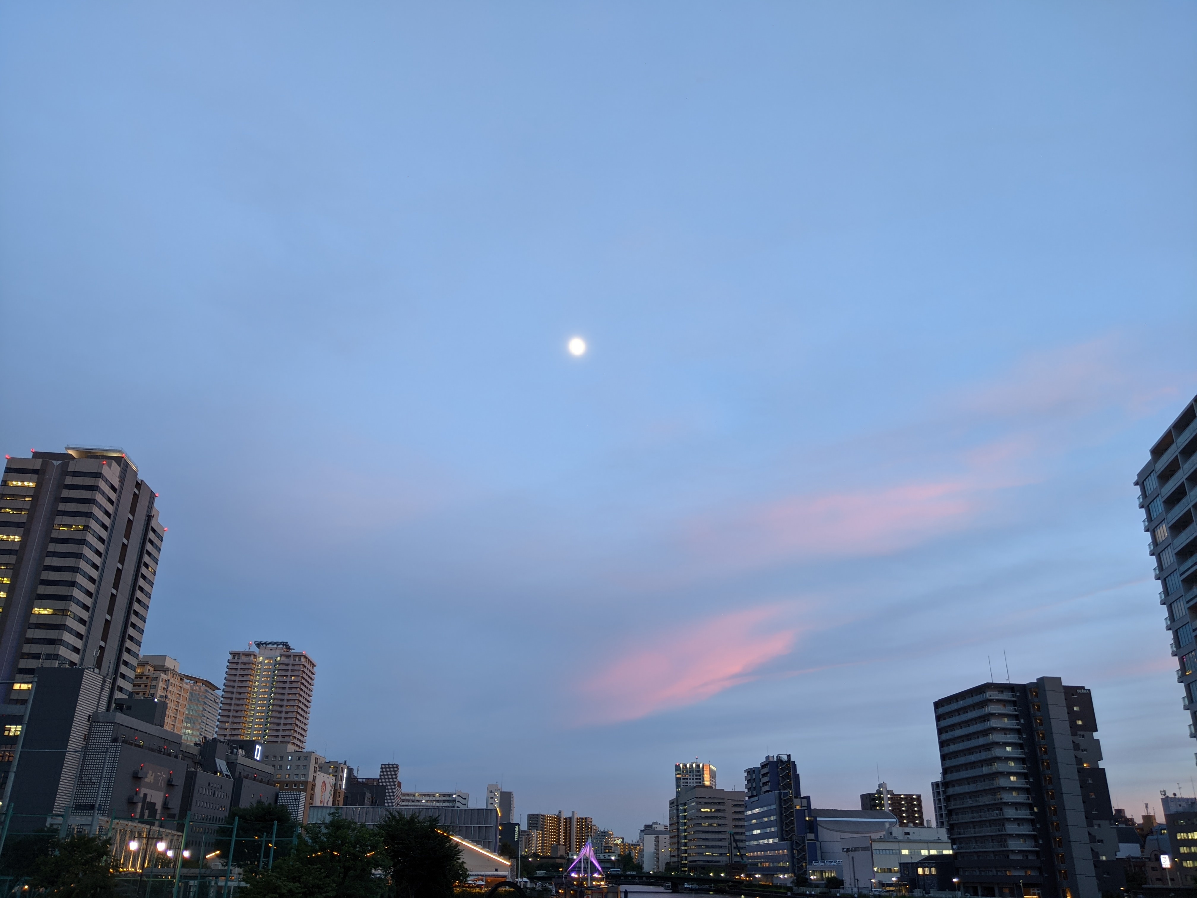 PXL_20210720_100436969.NIGHT