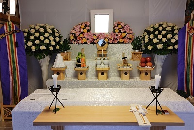 IMG01026 (002).jpg1000.jpg400