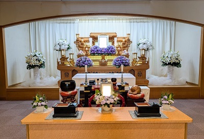 PXL_20241224_235441661~3 (002)400