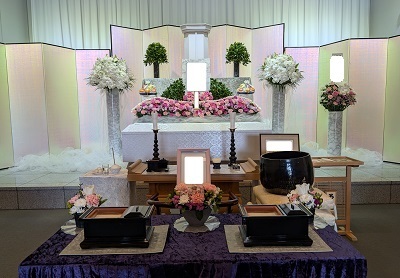 PXL_20250211_064119741 (002)400