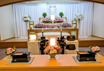 PXL_20250817_071957191~2 (002)400