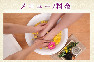 メニュー/料金