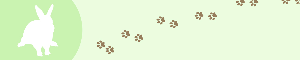 動物2_グリーン