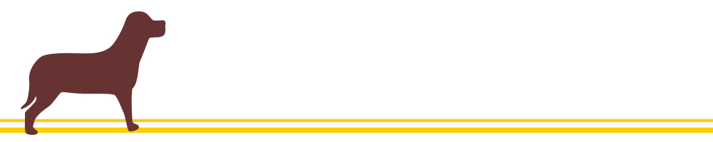 動物4_イエロー