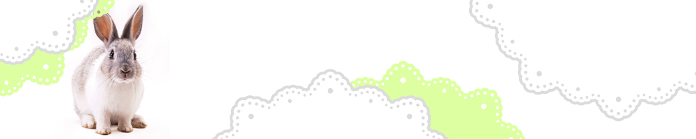 動物7_グリーン