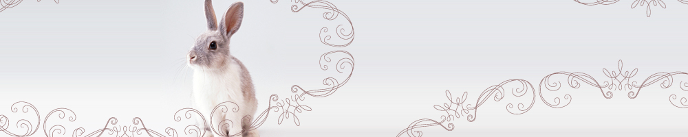 動物13_ブラウン