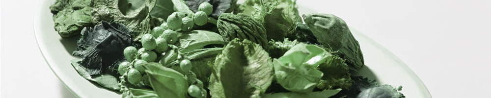 美容10_グリーン