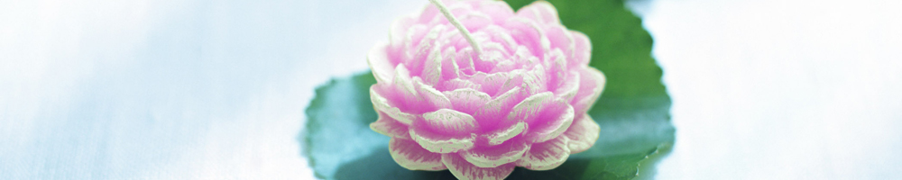 インテリア1_パープル