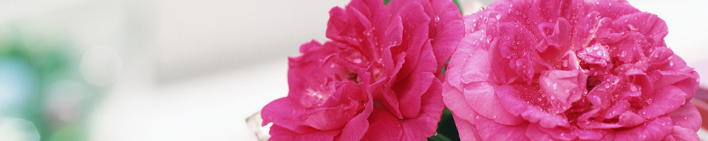 インテリア9_ピンク