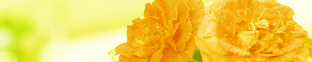 インテリア9_イエロー