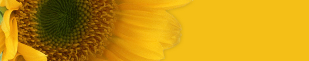 季節1_イエロー