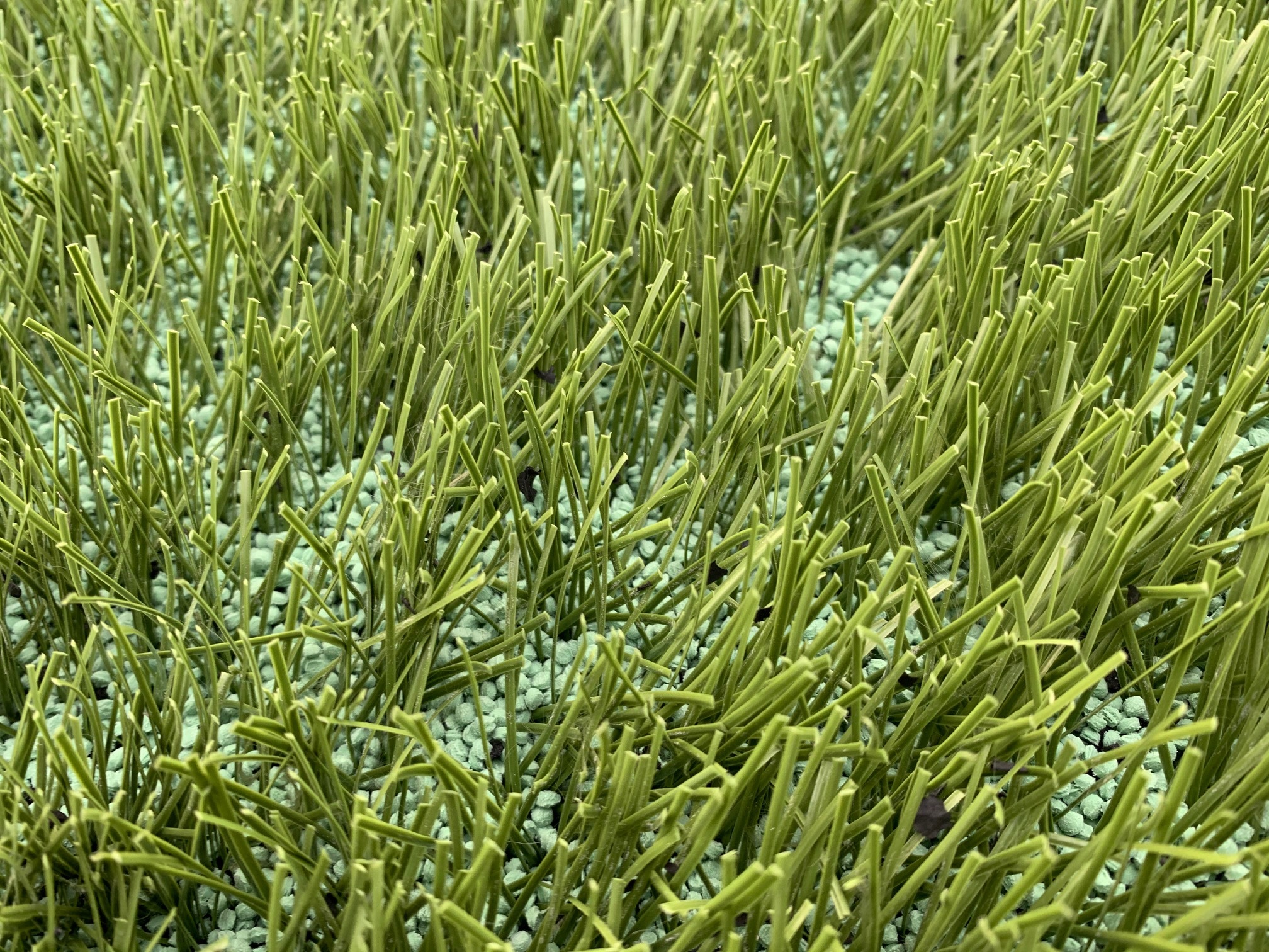 テアスタ ピッチ2