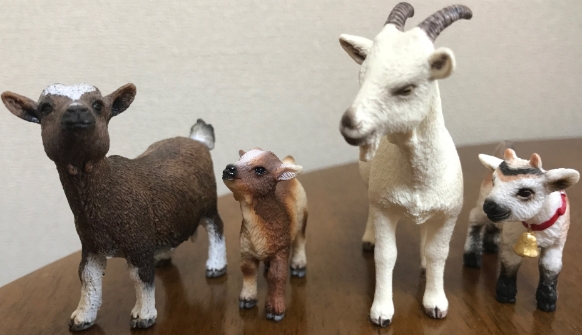 山羊(縮小②)
