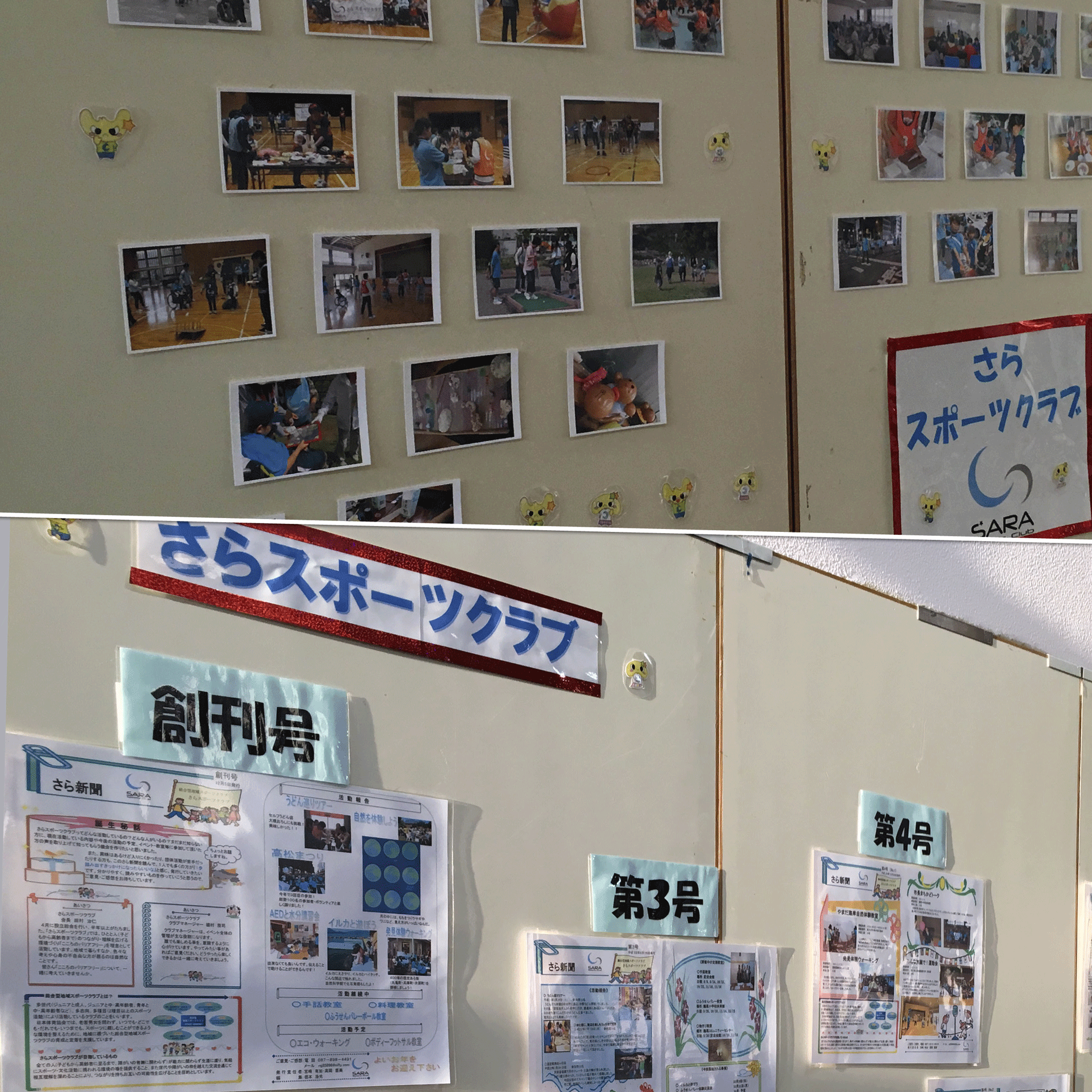 展示
