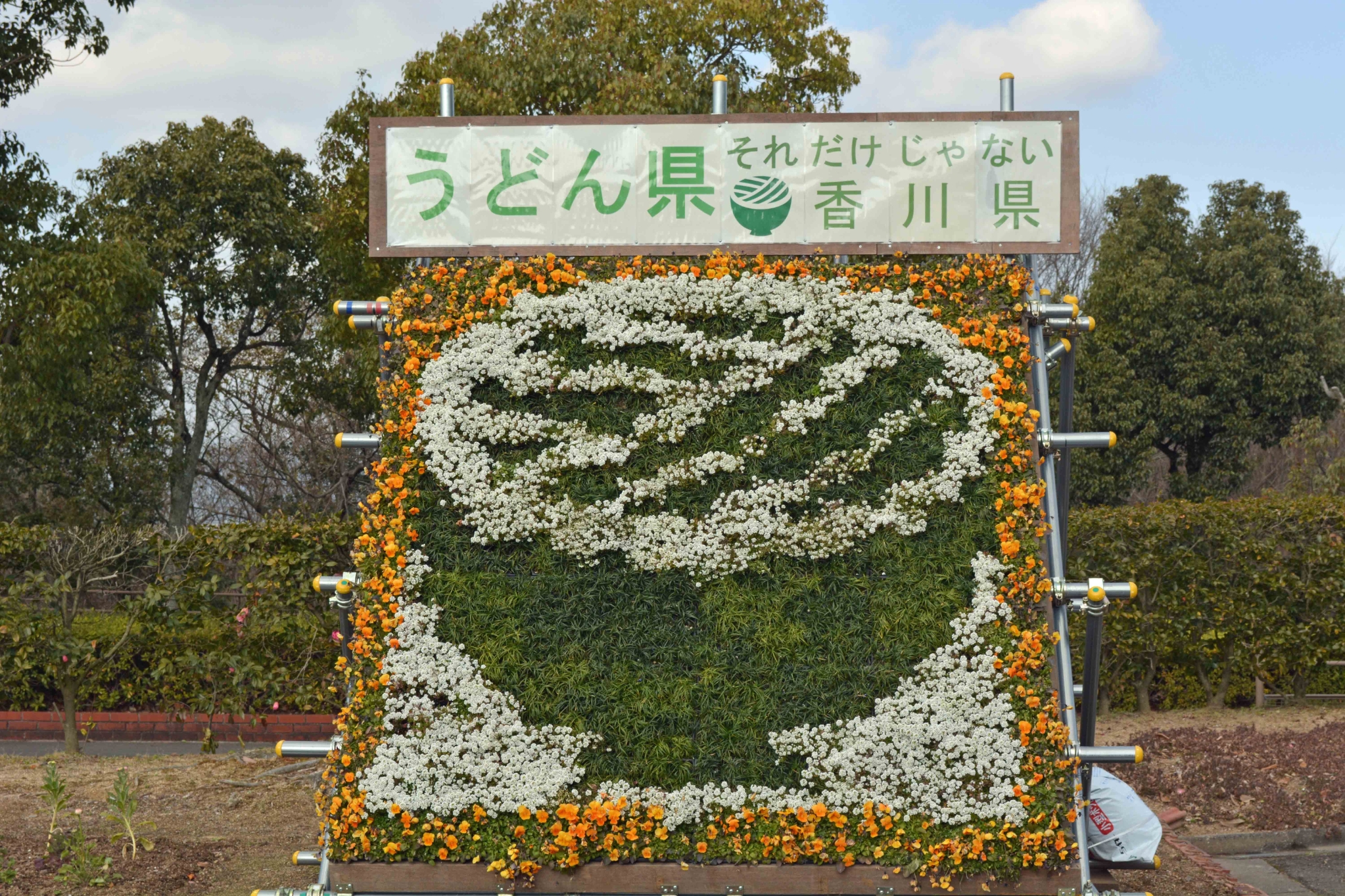 園芸センターの花