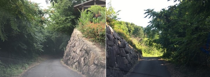 我が家