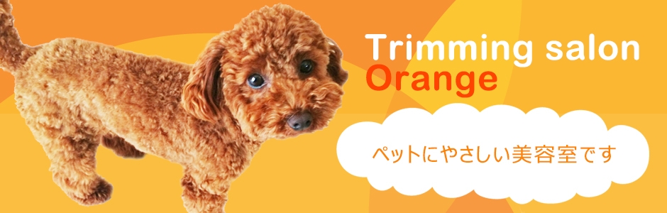 オレンジトップ