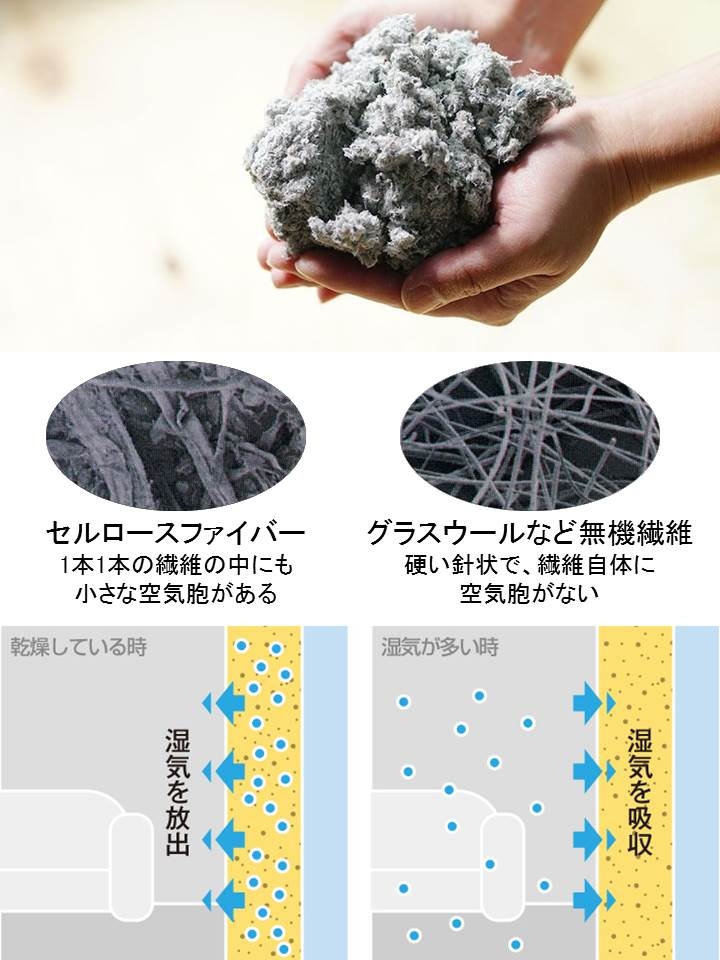 セルロース-調湿性
