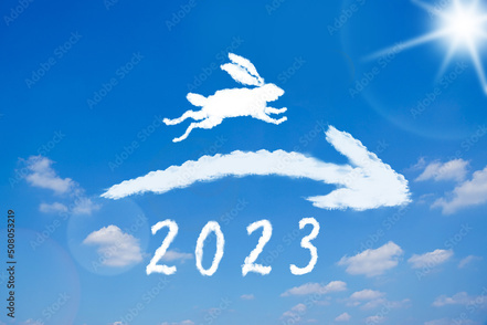 HP うさぎ年賀AdobeStock_508053219_Preview_コピー