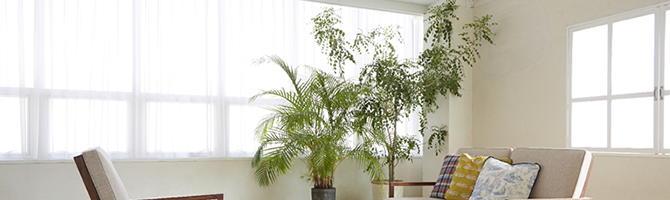 エーワンガラスとは?