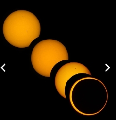 0000534773.jpg